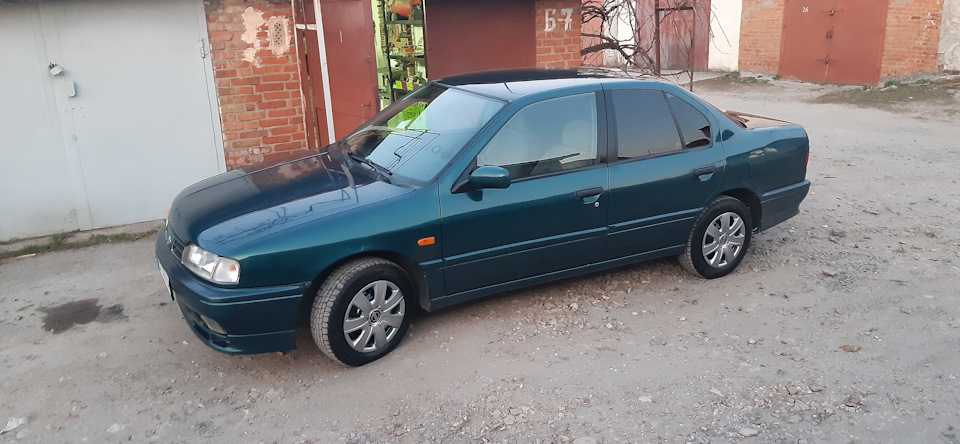Нові ковпаки 1
