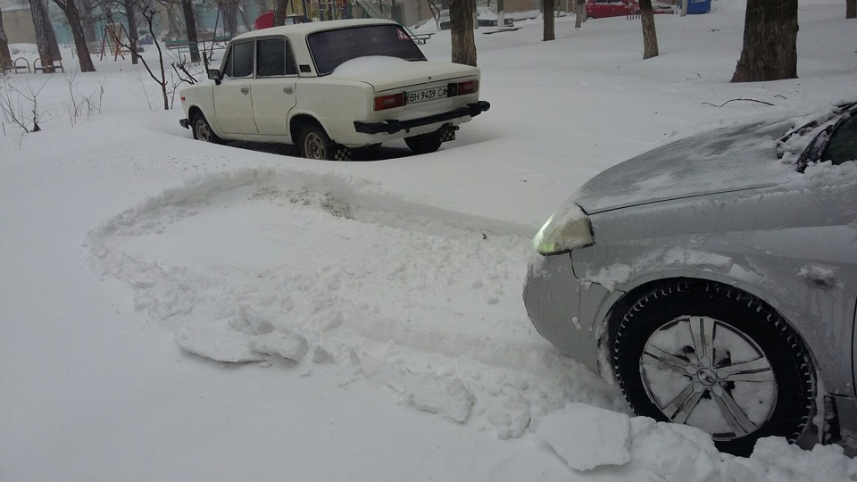 Південна або Північна Пальміра 4