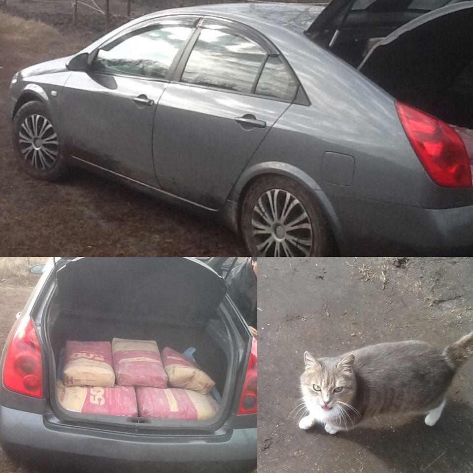 Ходові вогні Nissan Primera 3