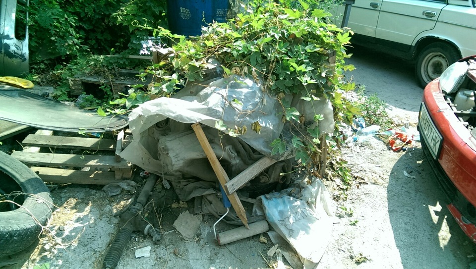 Серце 1