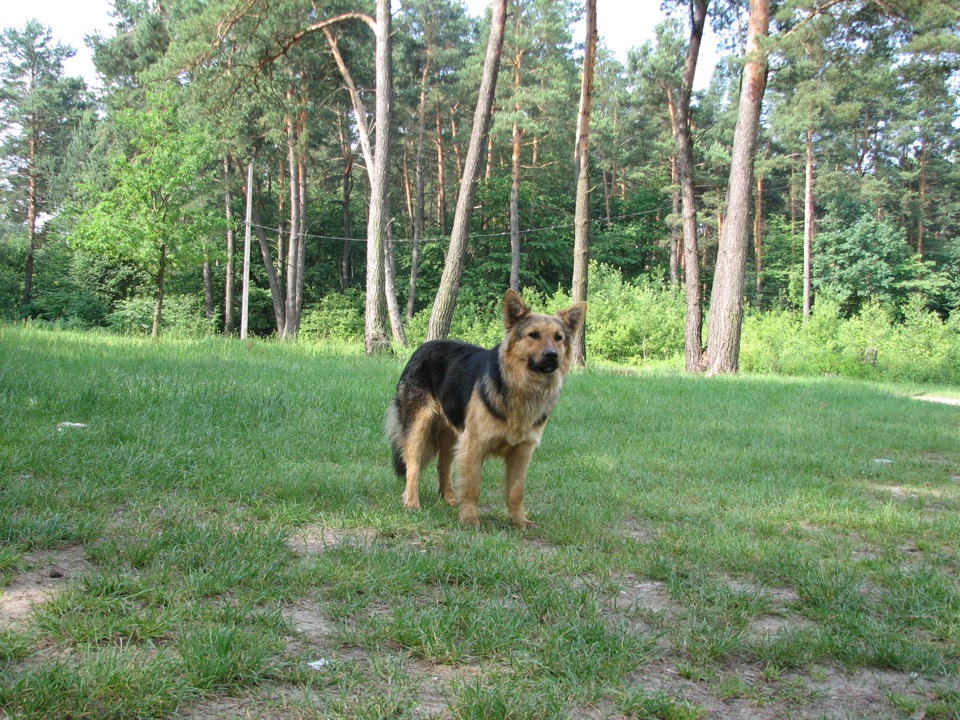 Містка :) 3
