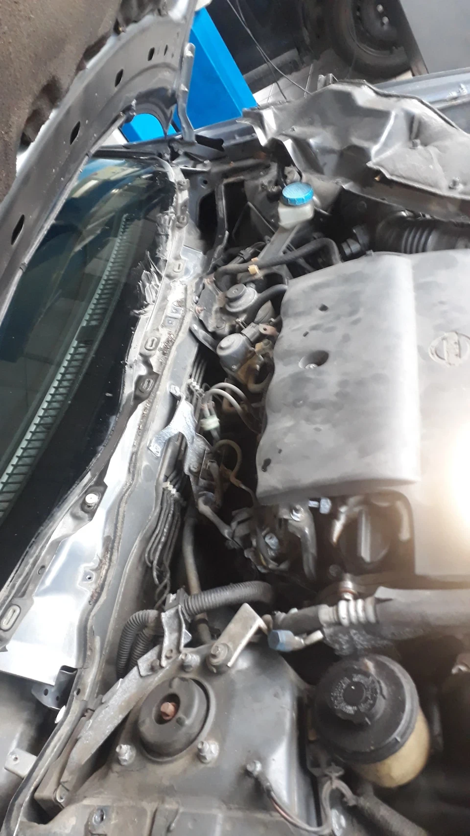 Кат та EGR видалено) Дівчинка стала дорослою 😅