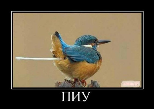 Ювілей! 1