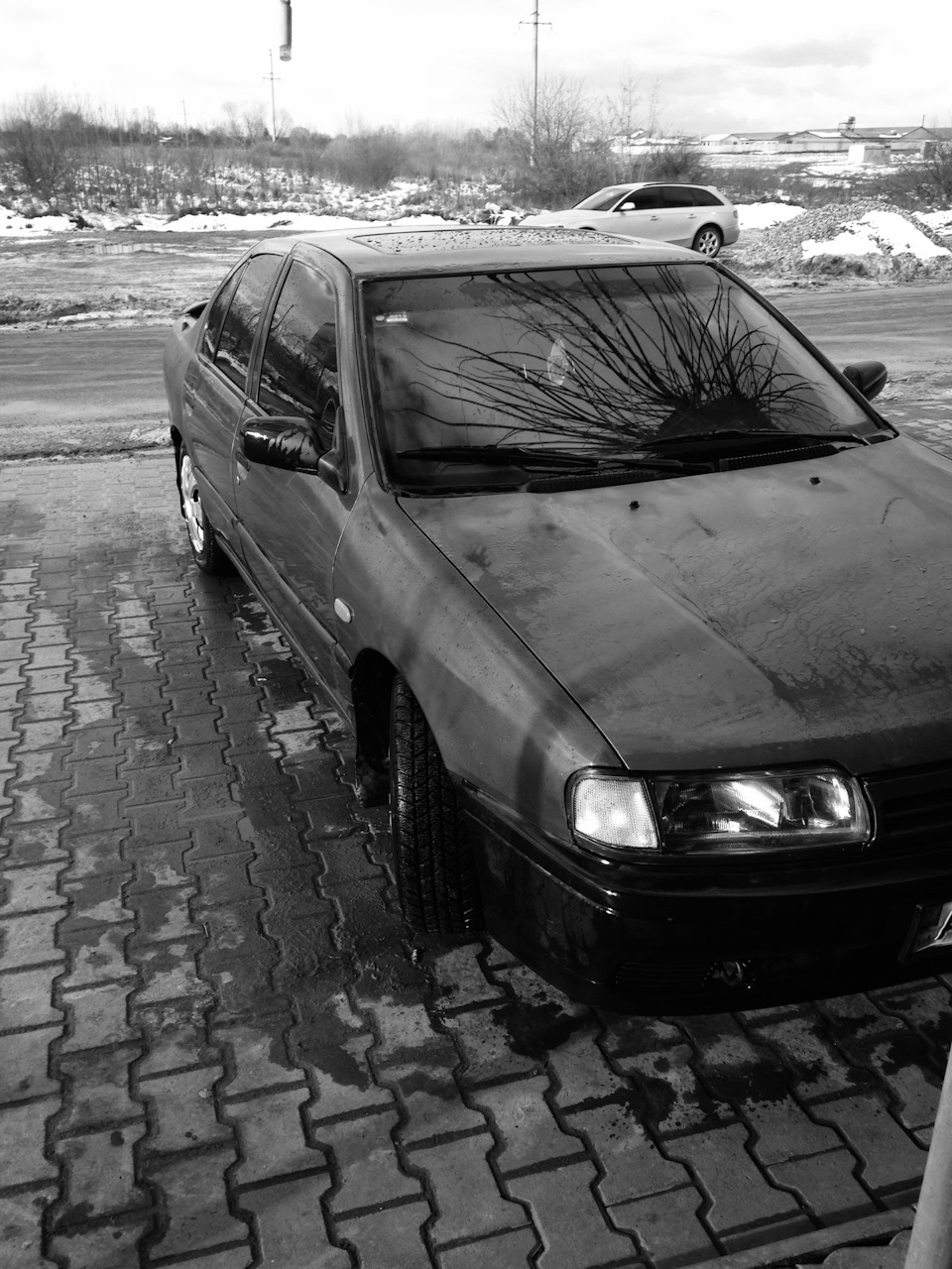 Гальма 1