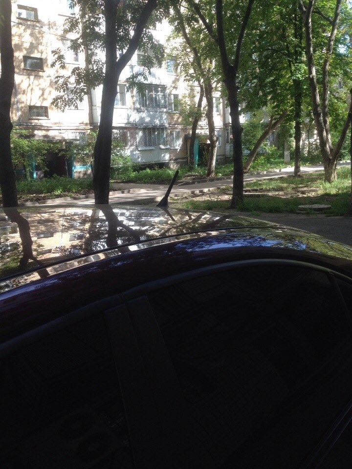 Всяка всячина :)) 5