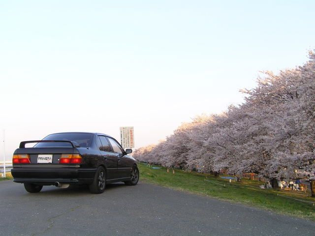 Приїхав Спойлер Nissan Primera HP11 1