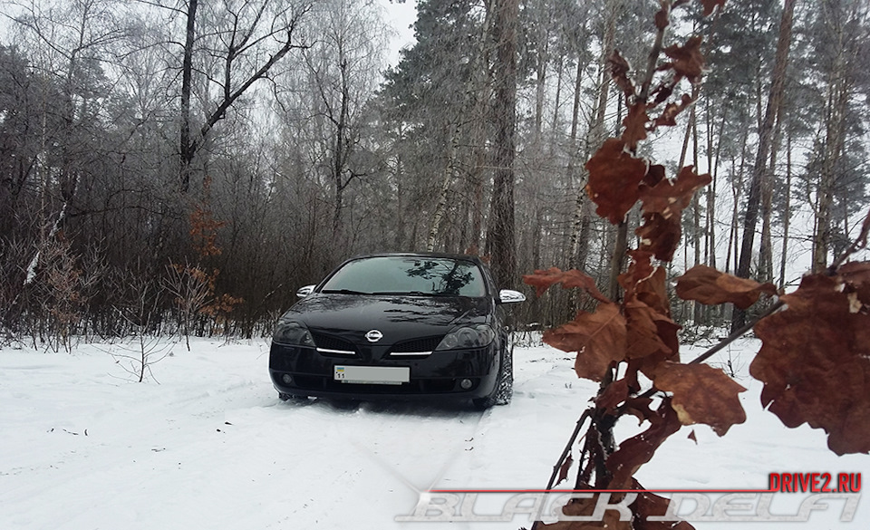 Безглузда і нікому не потрібна фотосесія 2