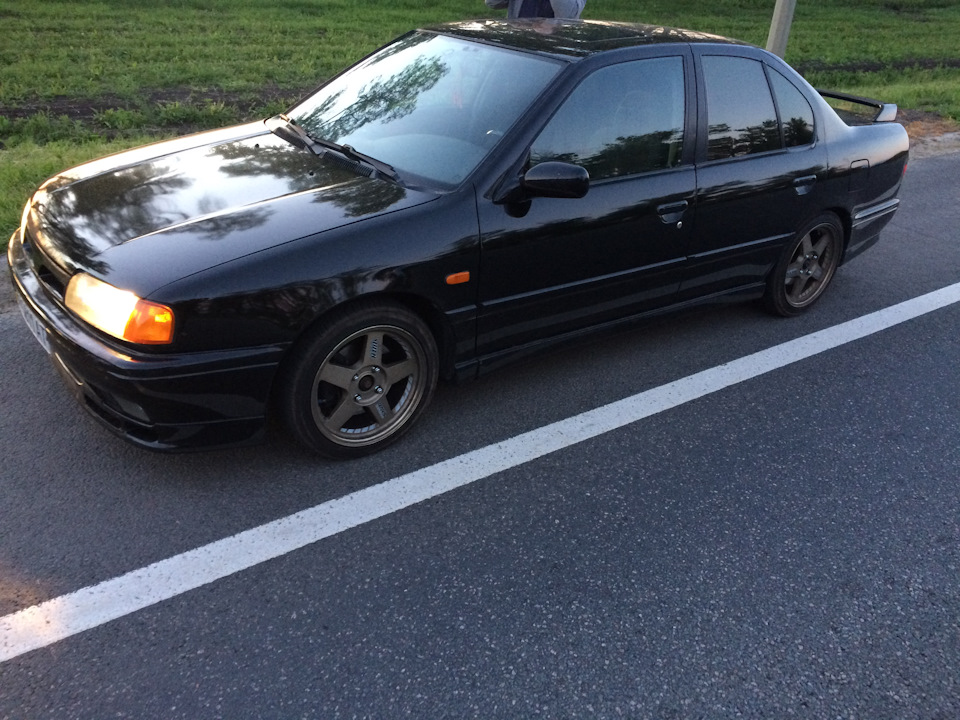 Wolk Rayz TE37 5