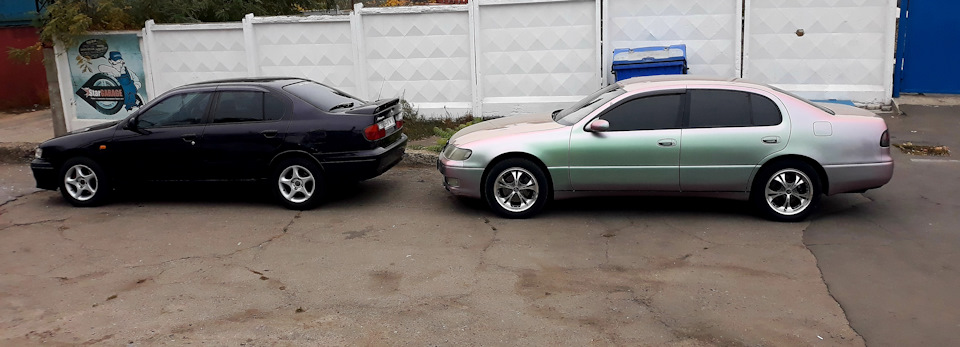 Радість по-братськи-Aristo V8 1