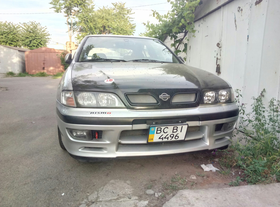 Сітка в ніздрі ГТ 5