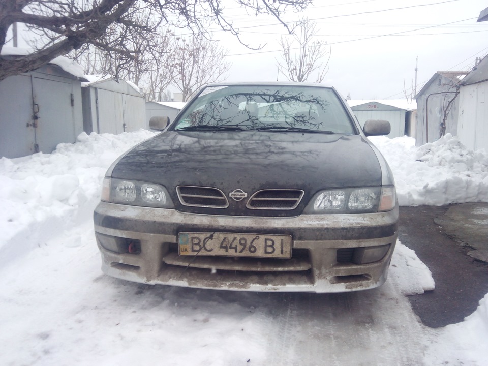 Зимівка… 1