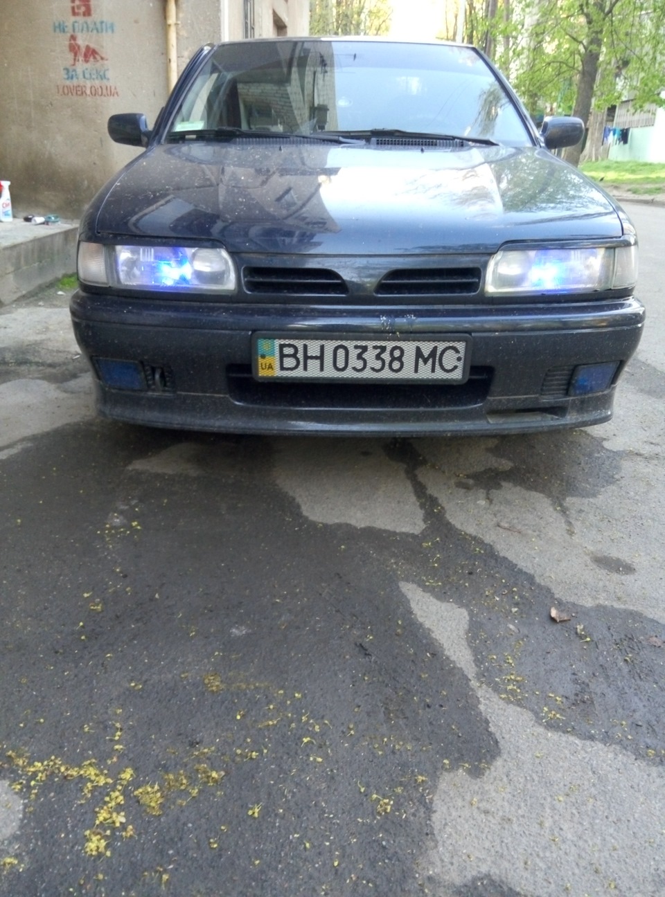 трохи прикрасив 5