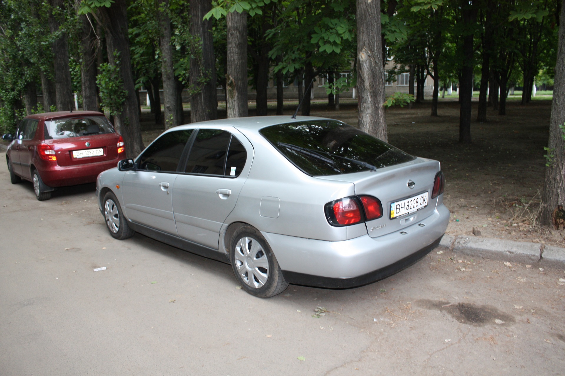 Тонування 1