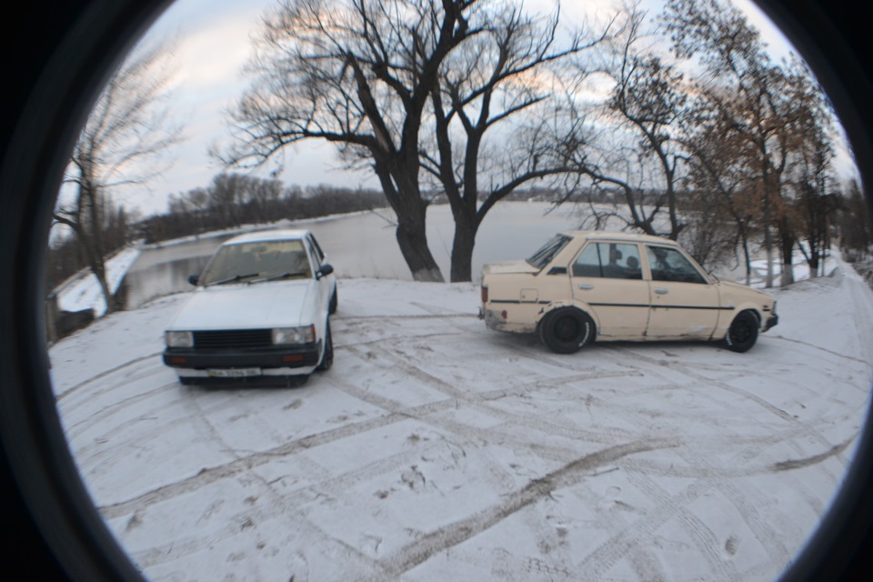 Нова цибуля) 3
