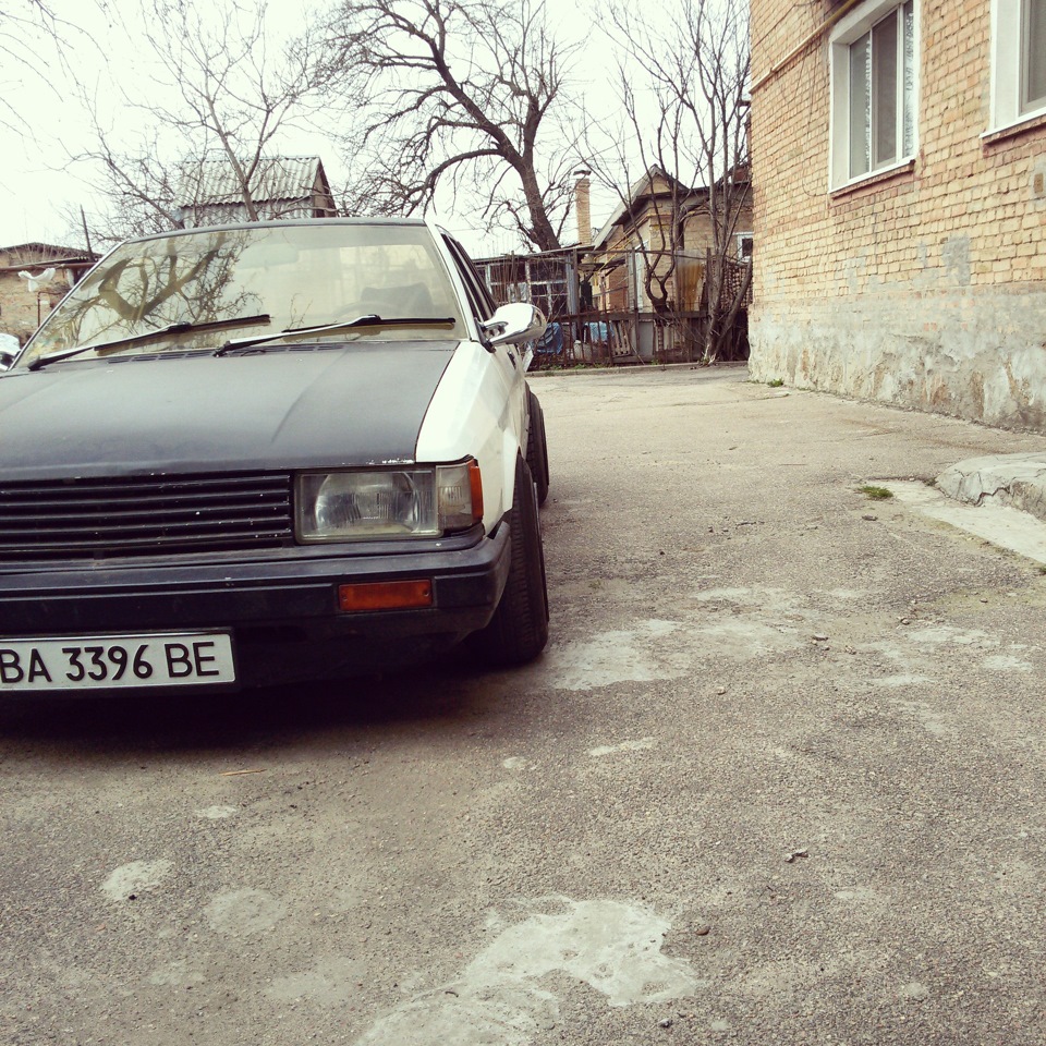 весна 5