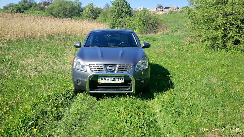 Кисуня на дачі) 5