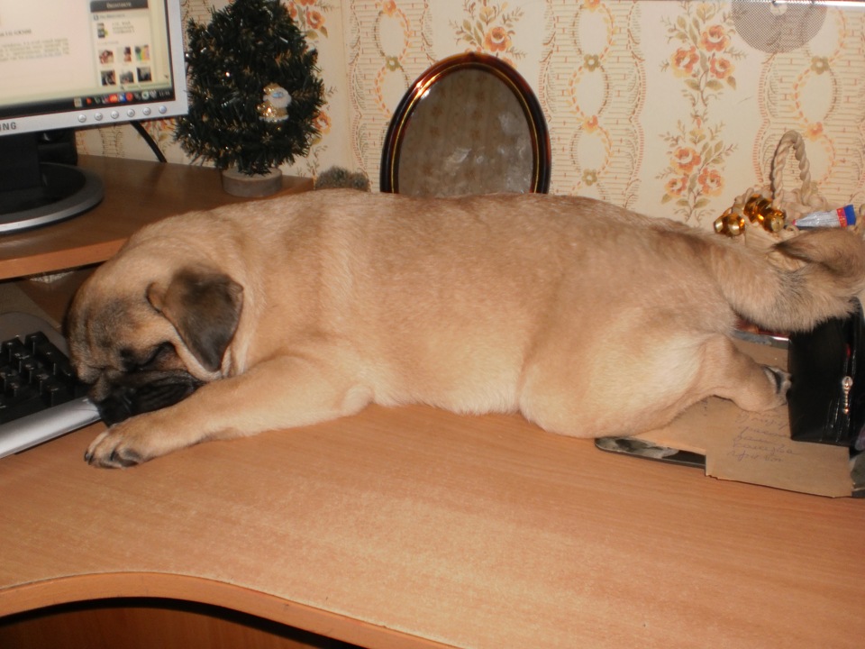 Мой Ізя } 3