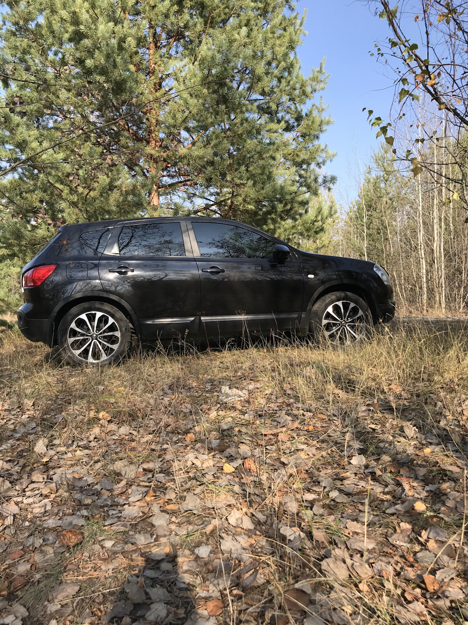 Поїздка на природу 2
