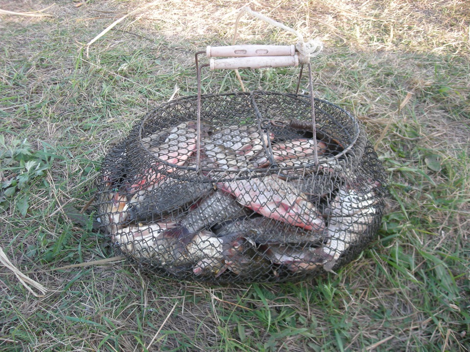 На Риболовлі 5