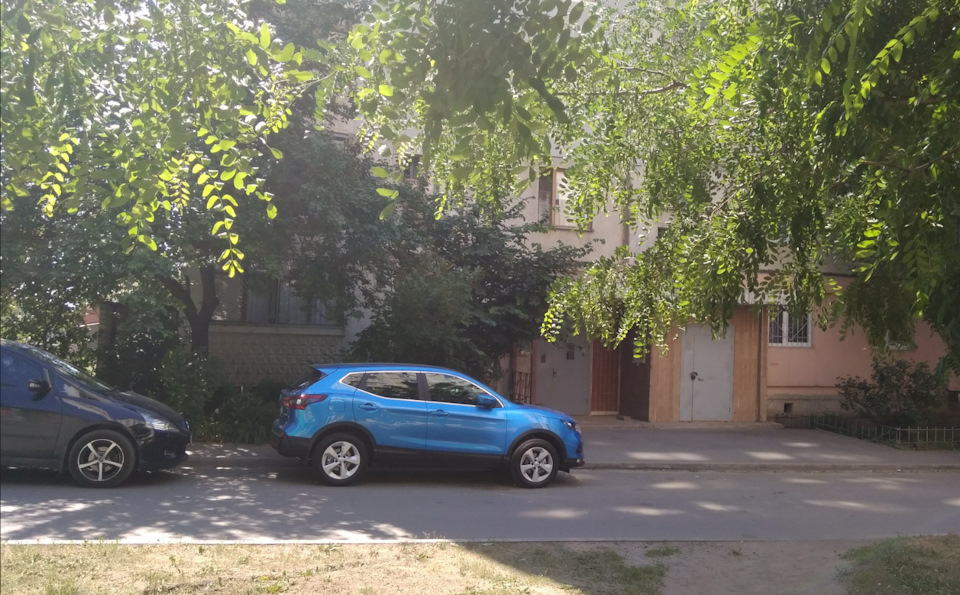 Колір 1