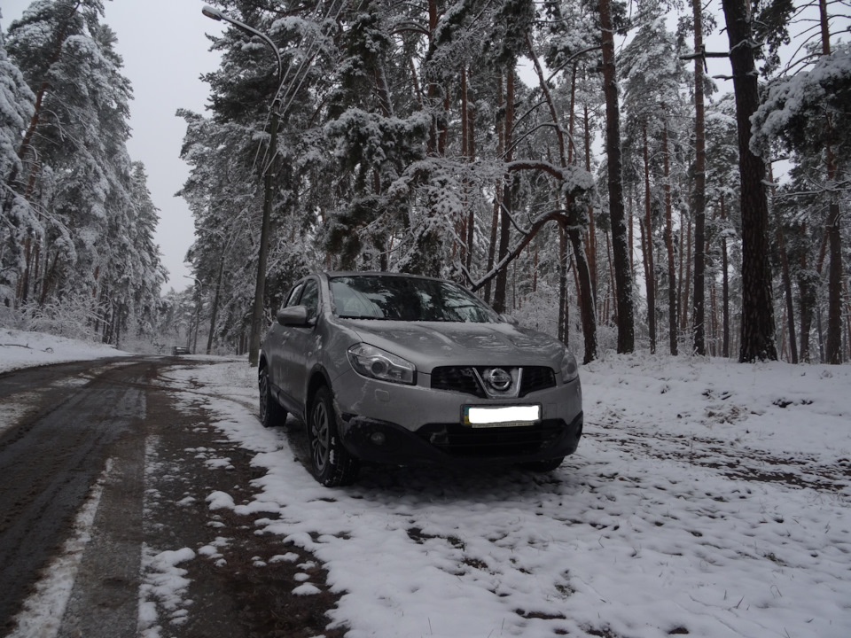№ 3. Зимові покатушки Динозаврика 3