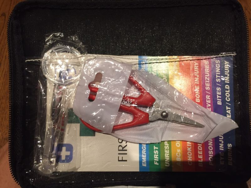 First Aid Kit 2