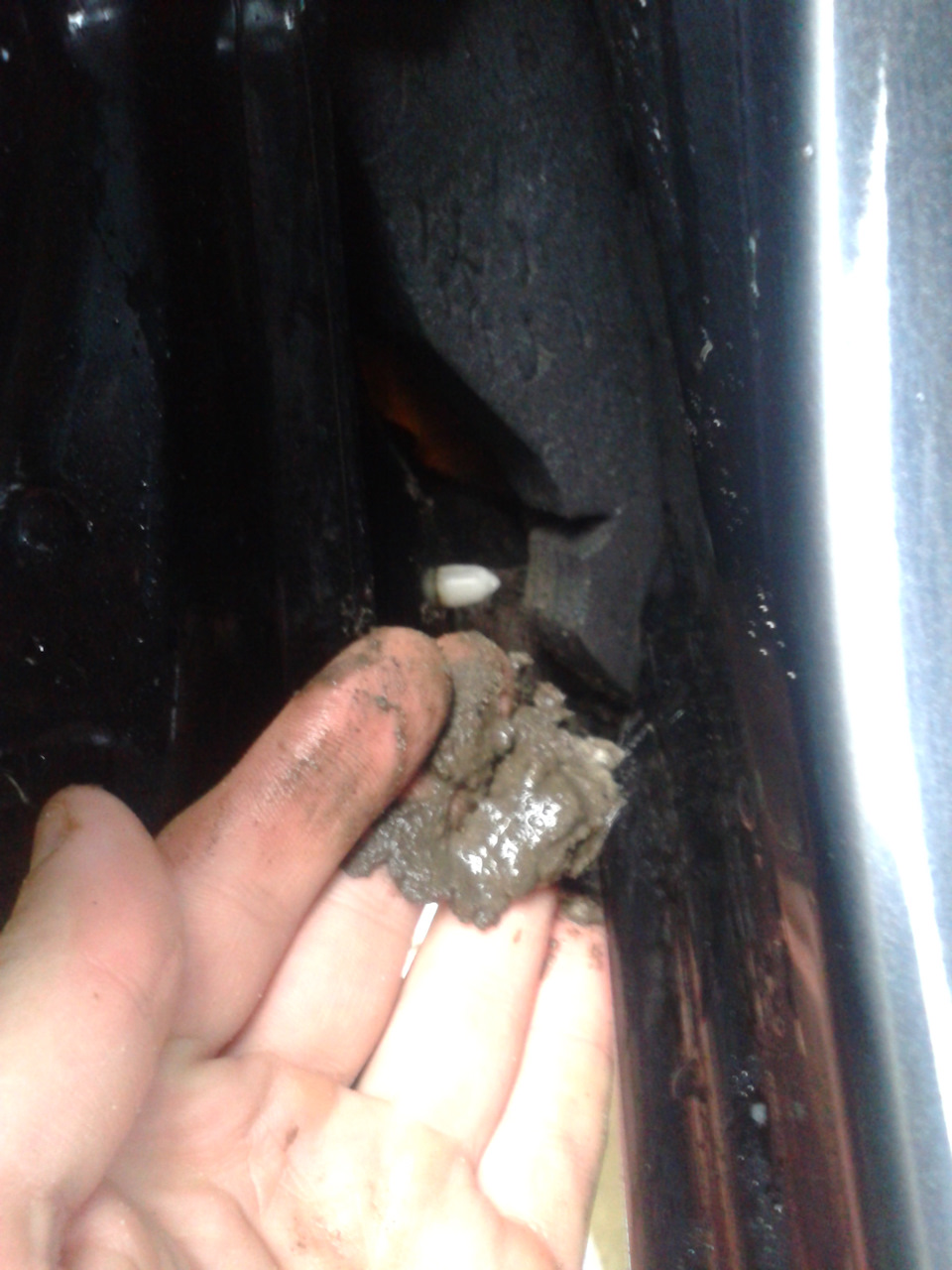 Куча болота))) 1