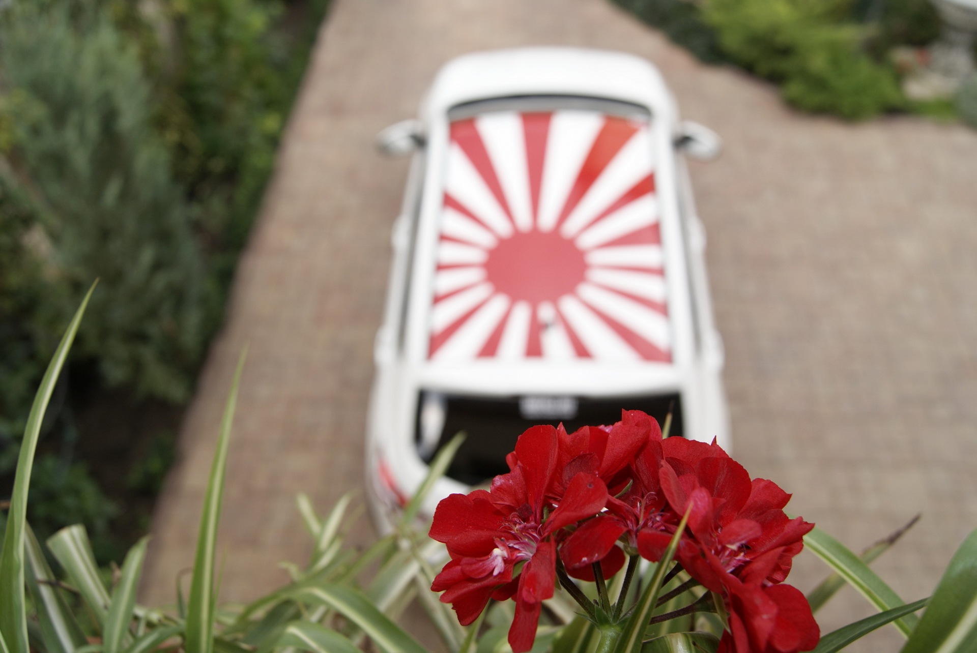 JDM sun 4