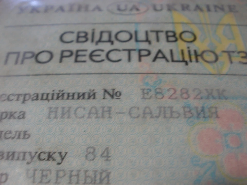 Чому сальвія?