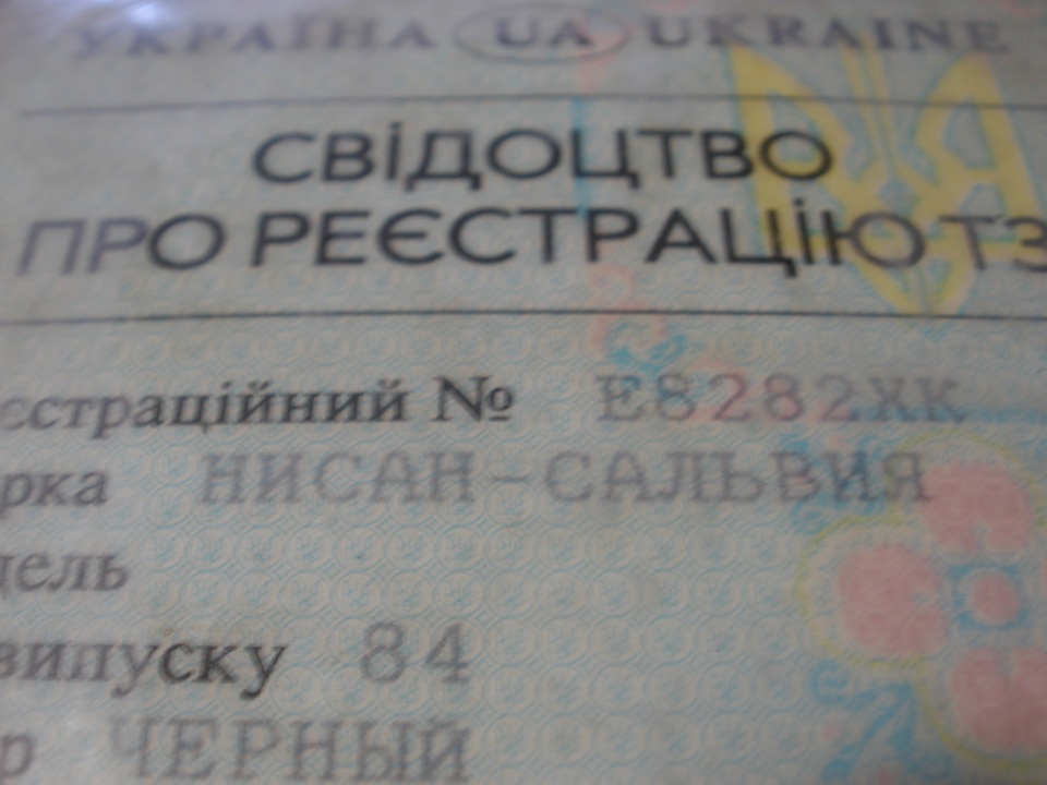 Чому сальвія? 1