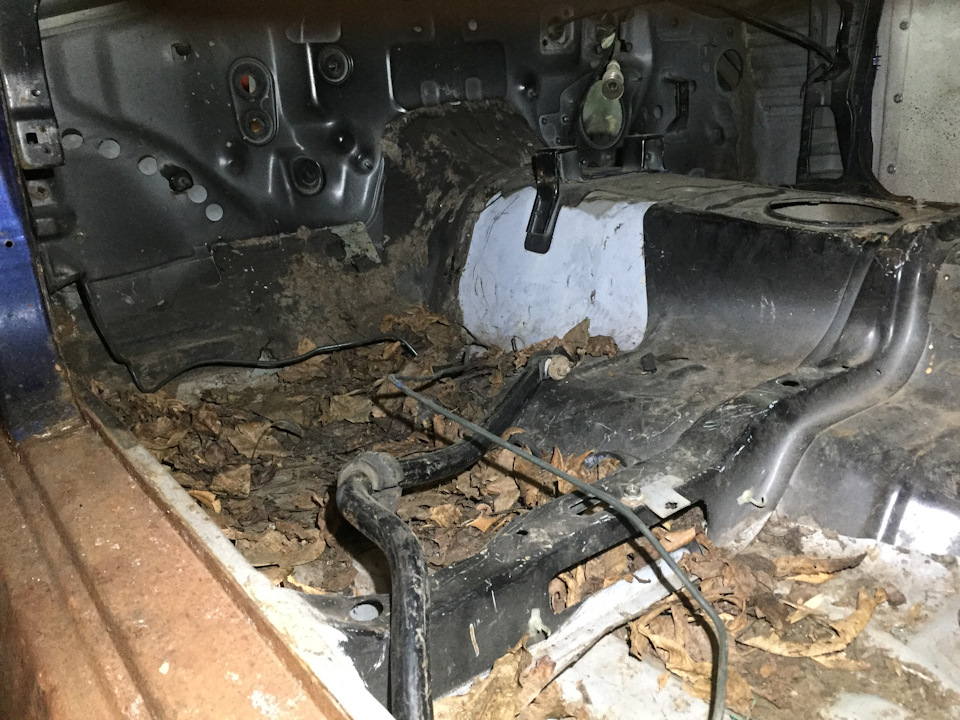 Перший повний огляд авто 4