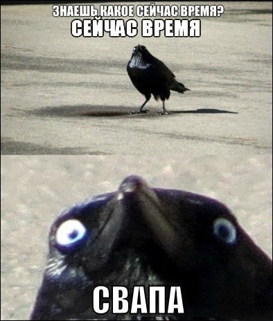 ЗВАПнув передні гальма 1
