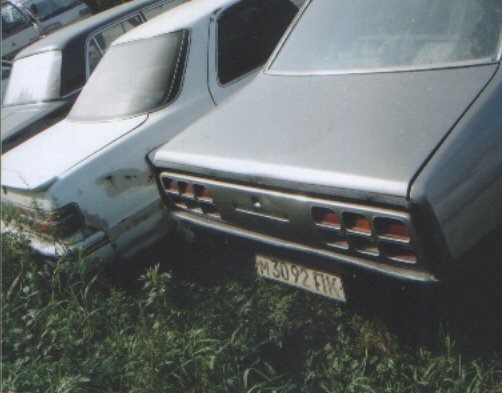 Родничок у Росії 1