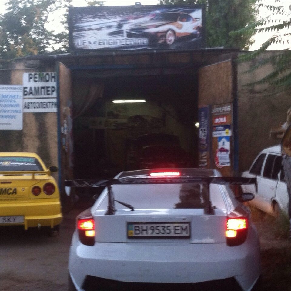 Трохи свіжих фото з життя 2