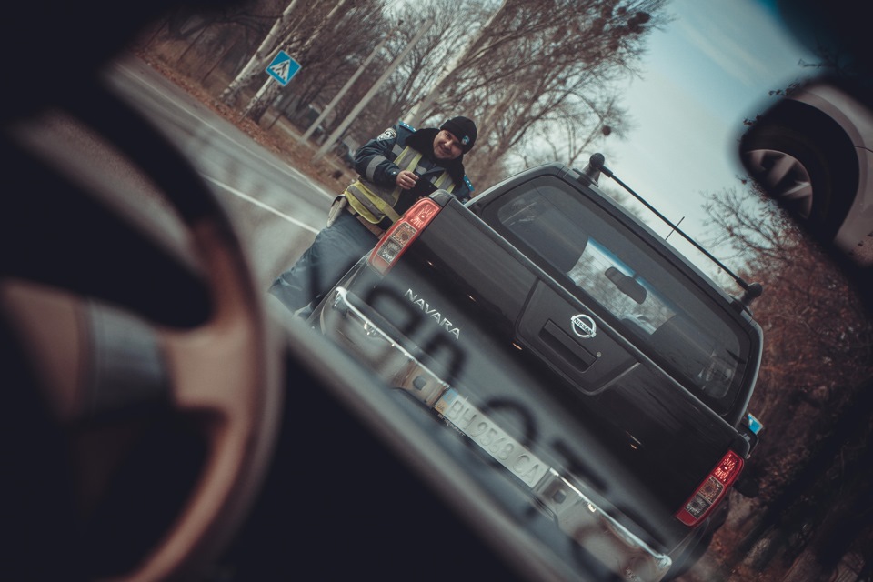 Кілька фото за останні дні 5