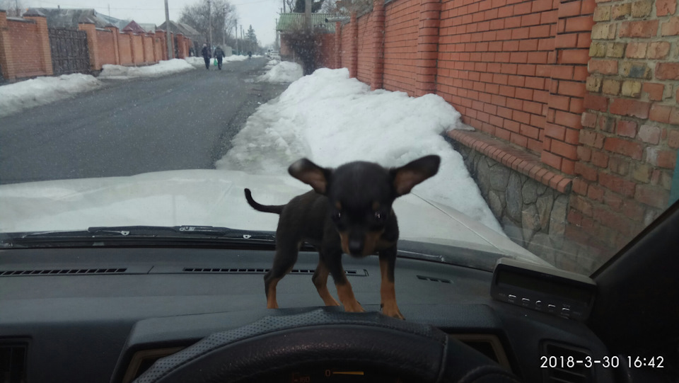 Доопрацювання підсвічування … 4