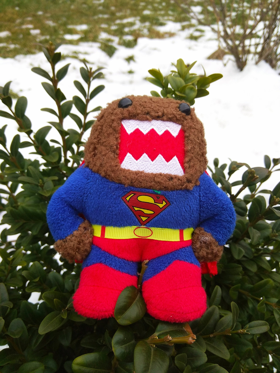 Новий талісман domo kun. 1