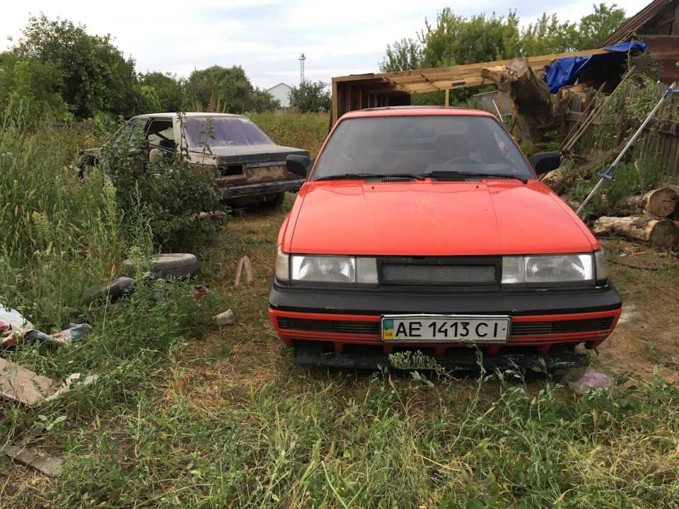 Саня в стайні) 1