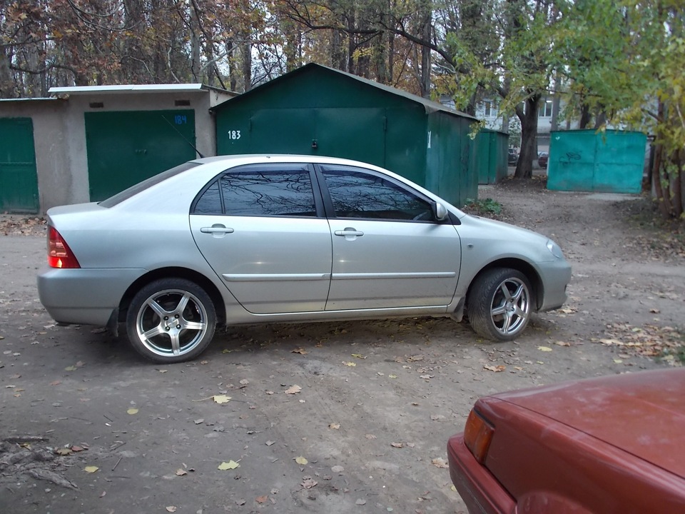 Помірив тапки на 17 (ВЕЛИКИ) 2