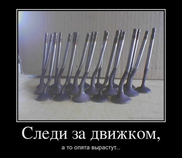 фото з инета 1