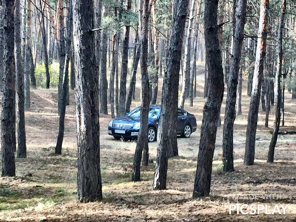 Фотосет 1