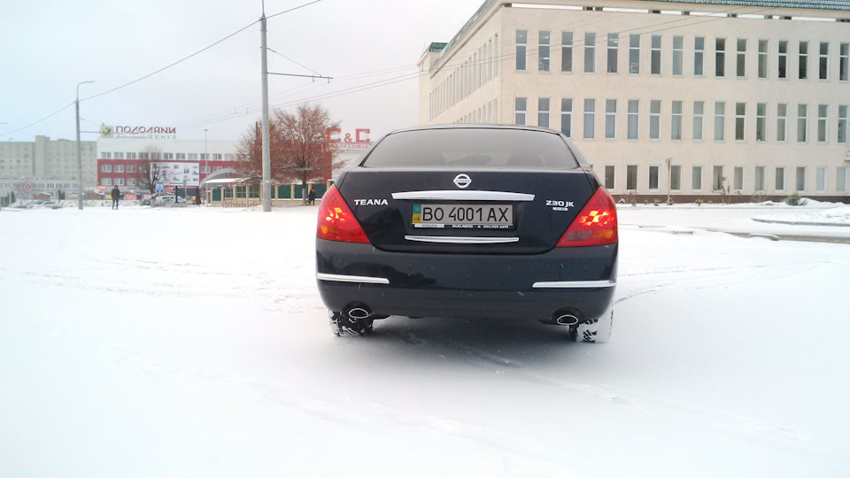 Чорна красуня на білому 5