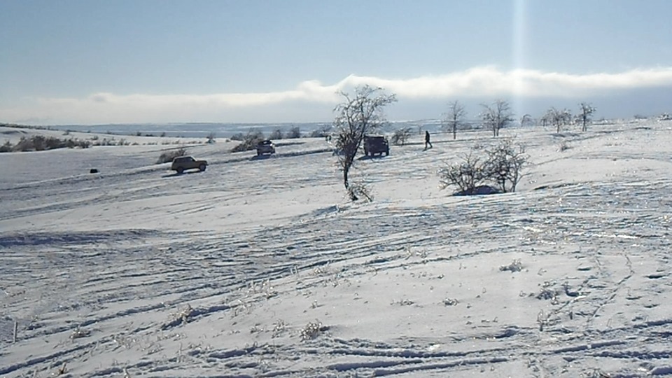 Покотушки 1