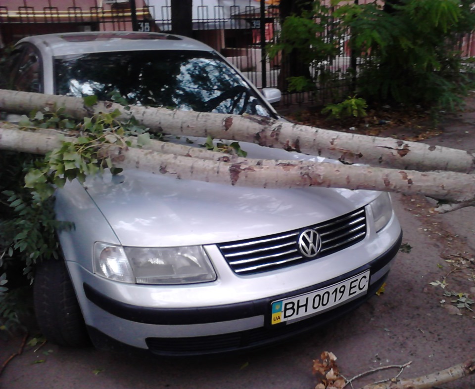 Припарковались 2