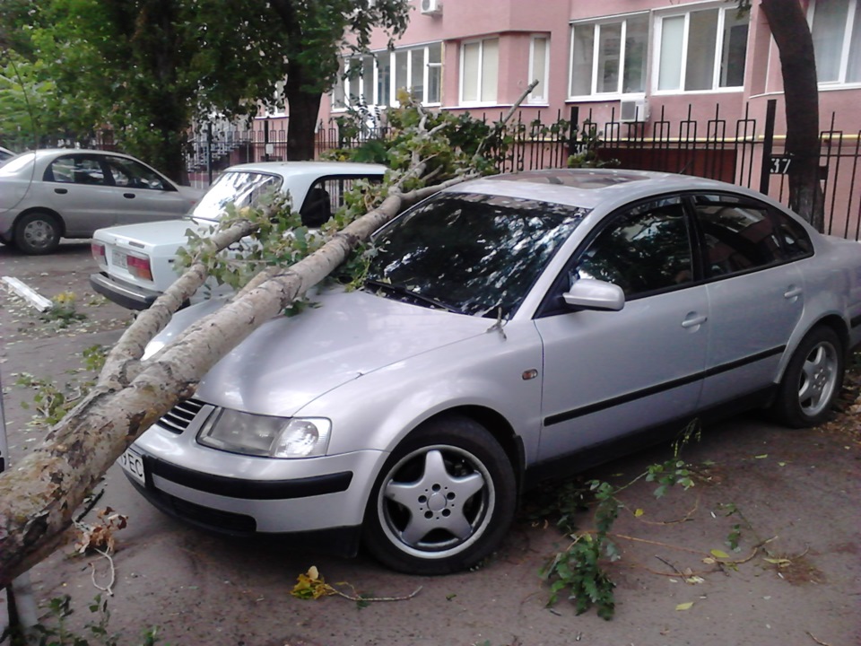Припарковались 4