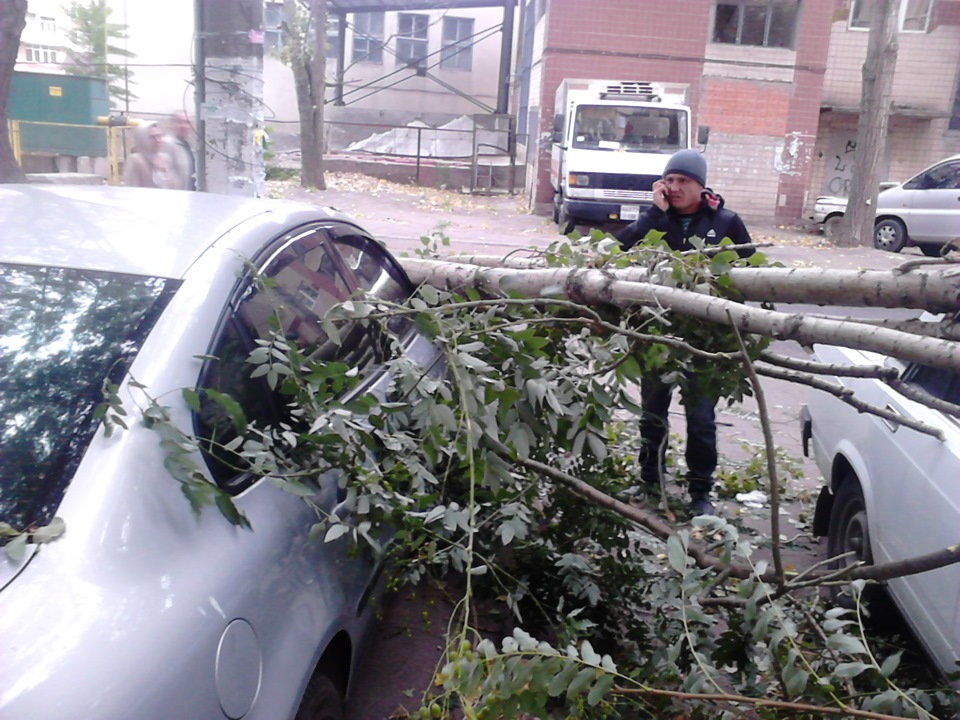 Припарковались 1