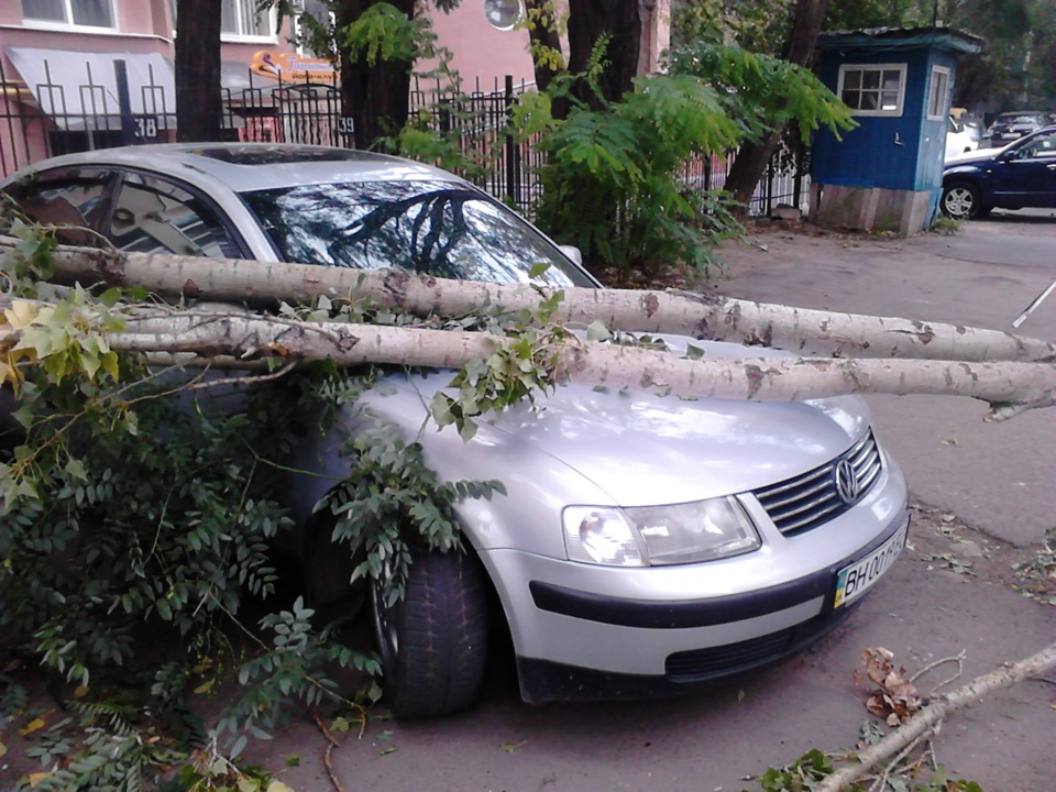 Припарковались 3