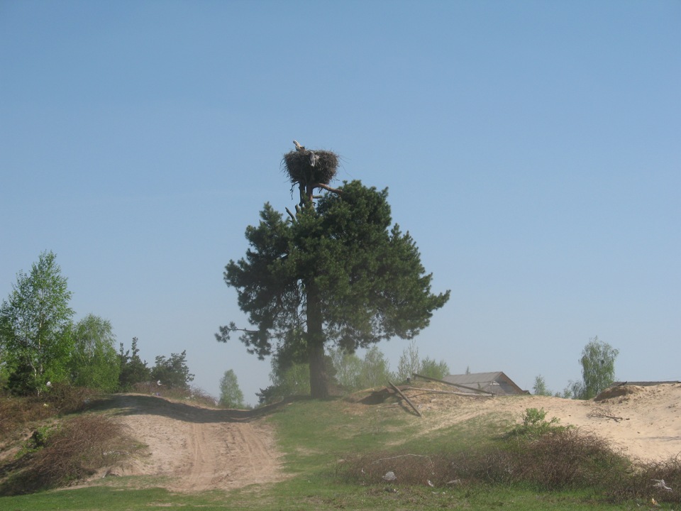 Полісся 2012! ч.2 4