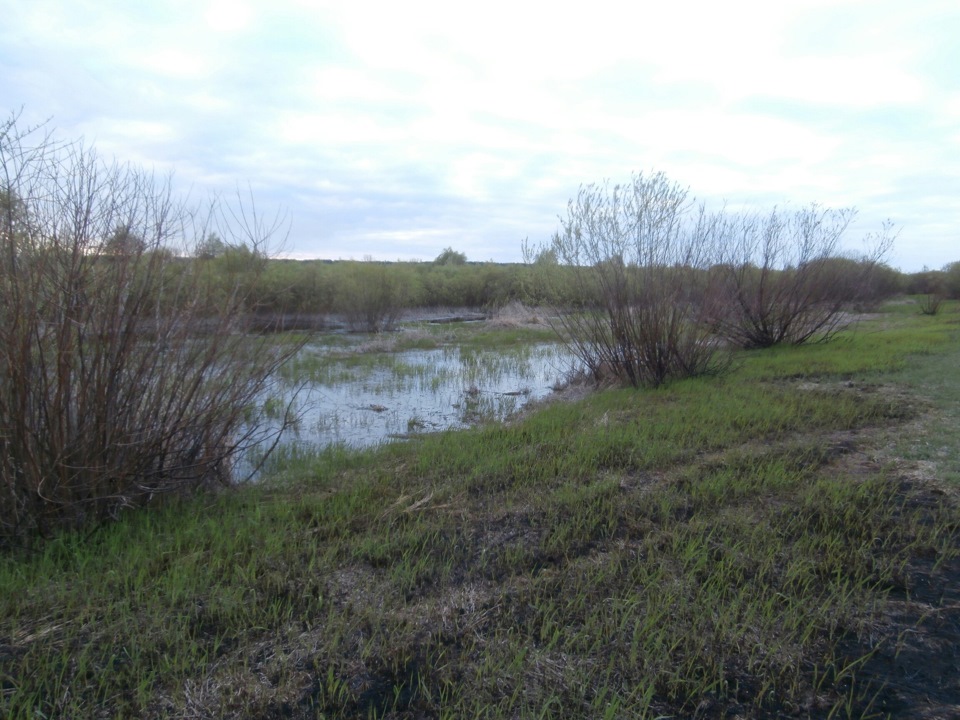 Ібеня Чернігівщини. 5