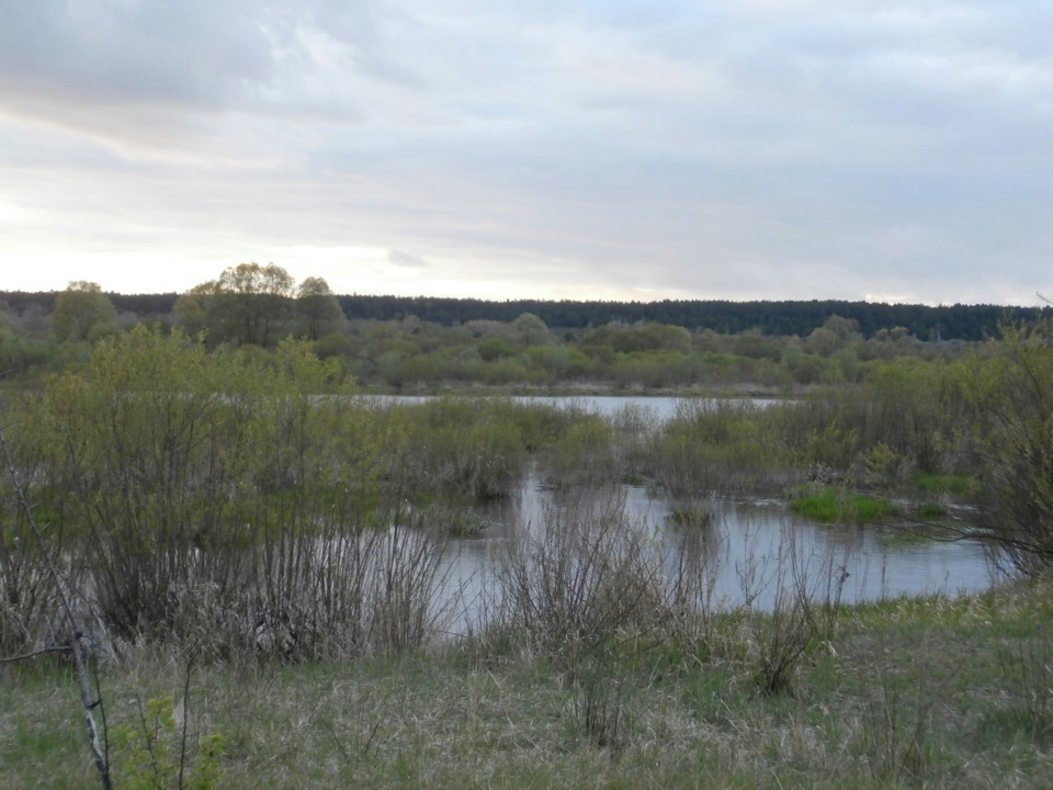 Ібеня Чернігівщини. 4